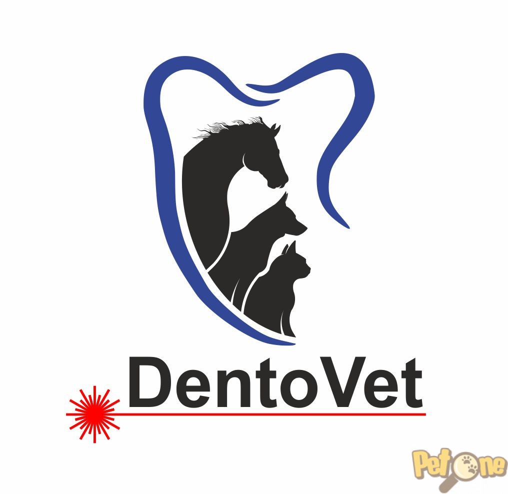 Poza de profil
