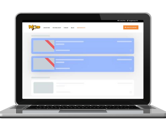Promovare Business