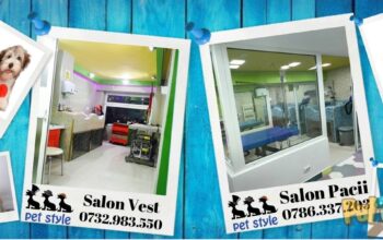 Pet Style – Frizerie canina Tulcea