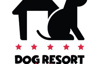 Pensiune Canina Dog Resort Bucuresti