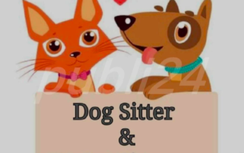 Pet Sitter – Cat & Dog Sitting