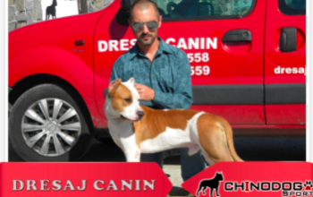 SCOALA DE DRESAJ “CHINODOG SPORT”