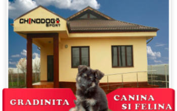 GRADINITA ANIMALE DE COMPANIE