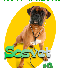 SoS VET