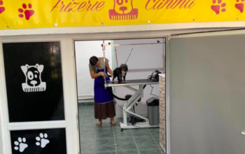 Frizerie Canină – Aris Pet’s Salon Valcea