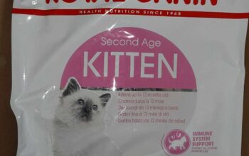 Pisici Junior 10kg Royal Canin+CADOU