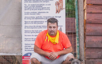 Baby-Dogs Dresaj si Pensiune Canina