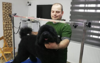 Salon Canin & Felin MaiaPet Sighet