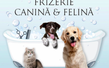 Roxi Pet Salon canin & felin Bucuresti