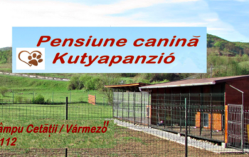 Pensiune canină – PLUTO – Kutyapanzió