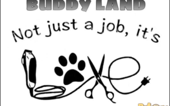 Salon de coafura canina Buddy Land Zimnicea