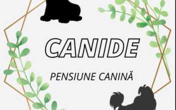 Pensiune Canină CANIDE Brasov
