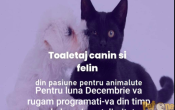 Frizerie Canina Happy