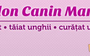 Salon Canin Marko Resita
