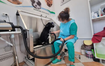 Frizerie Canina ArtPet Ilfov