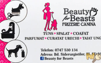 Beauty for Beasts Frizerie Canină