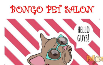 Bongo Pet Salon Urziceni