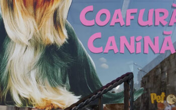 Coafura Canină Carei