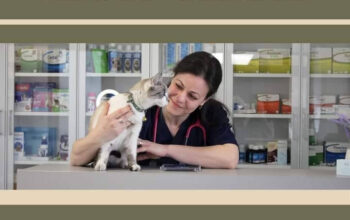 Cabinet Veterinar Dobos Zoo Vet