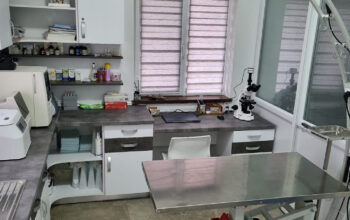 Cabinet Veterinar Mîndra Vet’s
