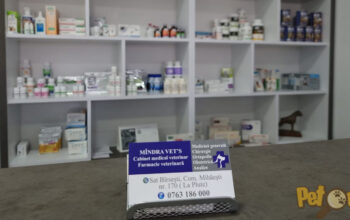 Farmacie veterinara Mîndra Vet’s
