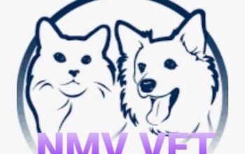 Cabinet veterinar NMV VET