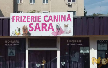 Frizerie si cosmeticã caninã Sara DEVA