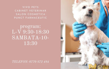 VIVO PETS-Militari Residence