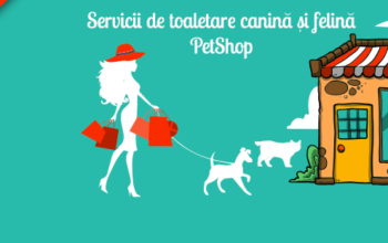 LifePet – Servicii de Toaletare Canina si Felina Bucuresti