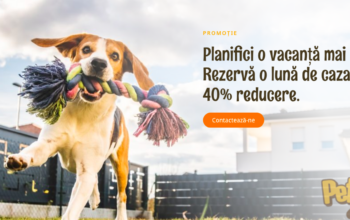 Pet Joy – Hotel Canin Cluj