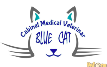 Cabinet Medical Veterinar BLUE CAT – veterinarul familiei tale