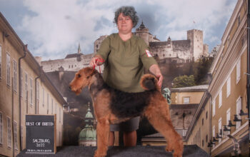 CANISA AIRE ALPHA KENNEL AIREDALE TERRIER