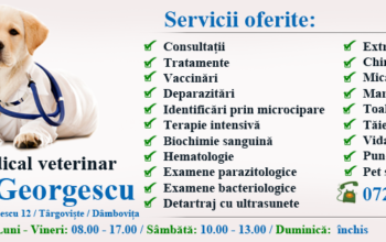 Dr. Alen Georgescu – Cabinet Veterinar Targoviste