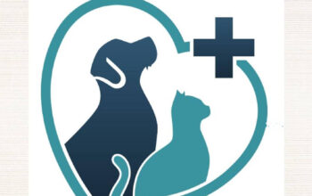 Amon Vet Care-Clinica veterinara Bacau