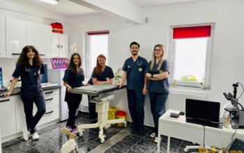 Anima Vet Asist – Cabinet și Farmacie Veterinară