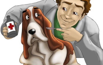 Cabinet veterinar Branistea