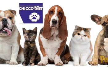 Chicco VET – Cabinet Veterinar – Farmacie – Pet Shop – Cosmetica