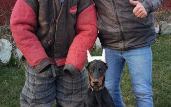 Pensiune Canina si Dresaj canin Claudiu Doman- Taroi