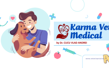 Karma Vet Medical-Clinica veterinara