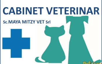 Maya Mitzy Cabinet Veterinar
