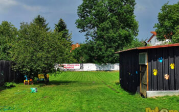 Dog hotel – Clubul de Excelenta Canina Patrocle