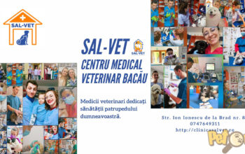 Clinica SAL-VET -Servicii veterinare Bacau