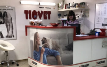 CLINICA VETERINARA TIOVET