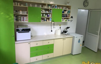 Cabinet veterinar ValOan HelpVet