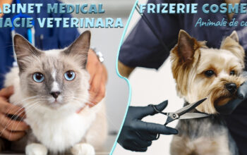 Frizerie & Cosmetica Canina & Felina Vet Iasi