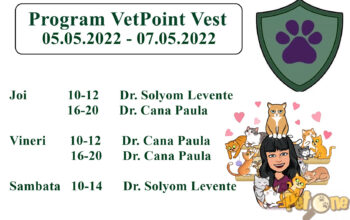 Vet Point Vest – Cabinet Veterinar