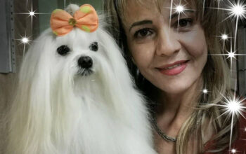 Salon Canin Tonya Timisoara