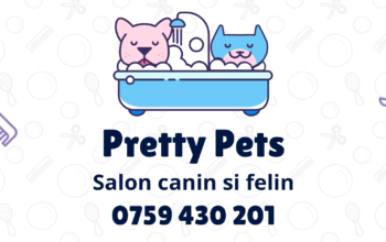 Pretty Pets – Salon Canin si Felin & Cabinet Veterinar Lunca Cetatuii