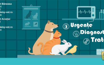 Clinica Veterinara Daisy-Vet