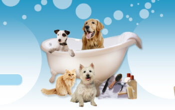 Salon cosmetica canina “Pet Estet” Timisoara